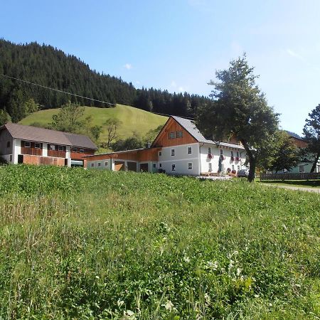 Huberbauer Villa Johnsbach Ngoại thất bức ảnh