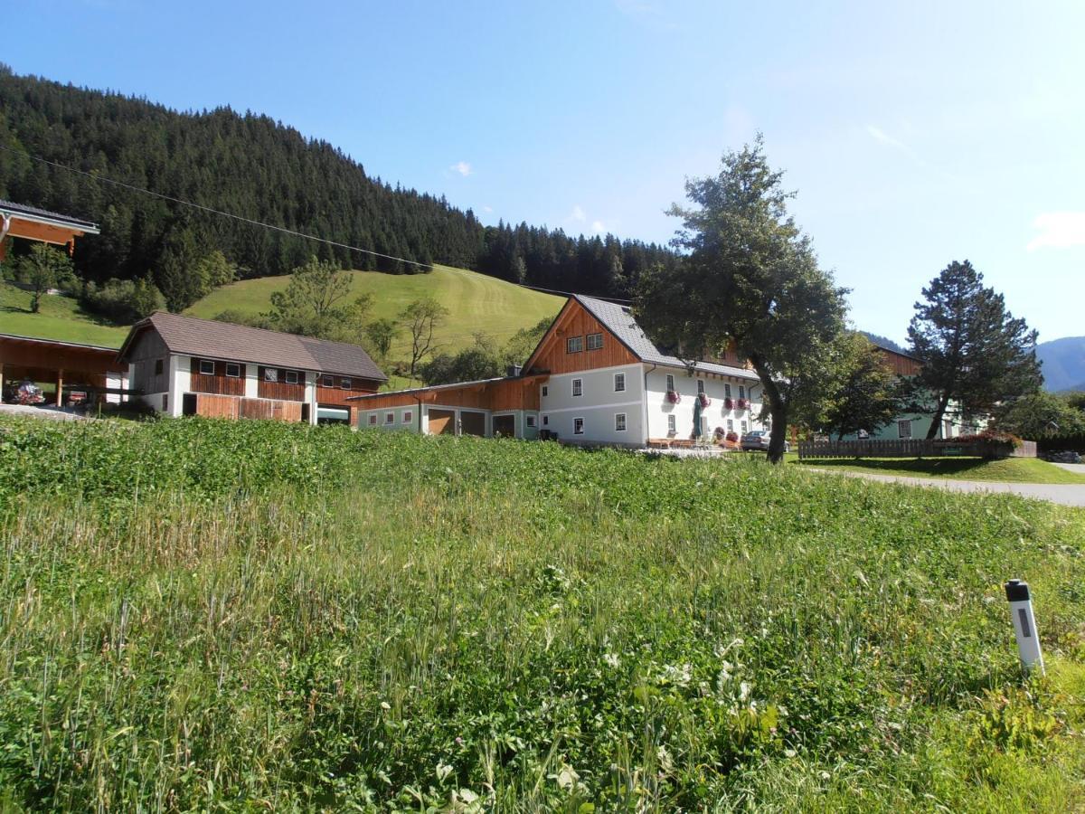 Huberbauer Villa Johnsbach Ngoại thất bức ảnh
